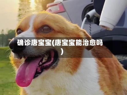 确诊唐宝宝(唐宝宝能治愈吗)