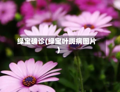 绿宝确诊(绿宝叶斑病图片)-第2张图片
