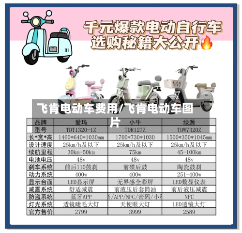 飞肯电动车费用/飞肯电动车图片