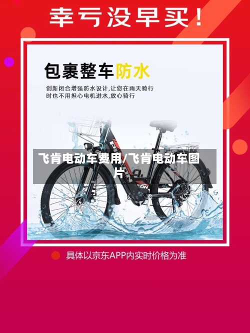 飞肯电动车费用/飞肯电动车图片-第2张图片