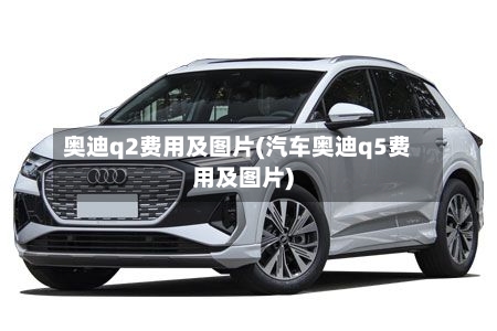 奥迪q2费用及图片(汽车奥迪q5费用及图片)