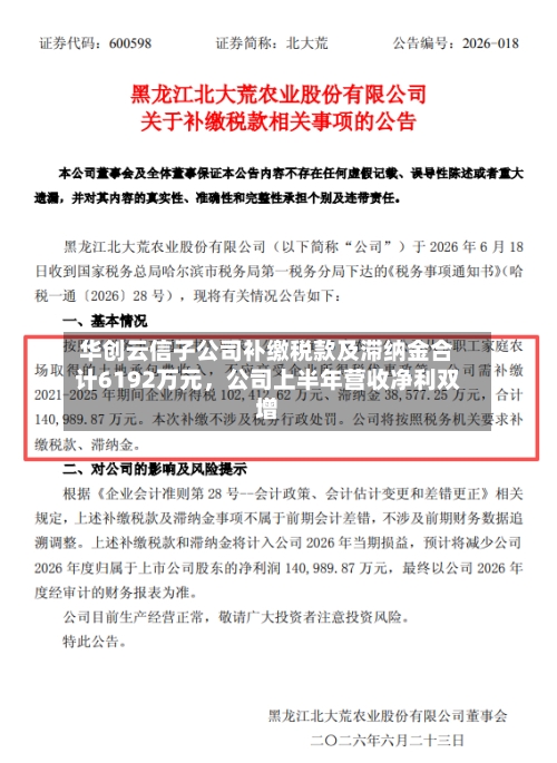 华创云信子公司补缴税款及滞纳金合计6192万元,公司上半年营收净利双增