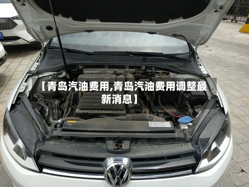 【青岛汽油费用,青岛汽油费用调整最新消息】