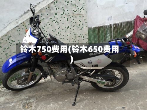 铃木750费用(铃木650费用)-第3张图片