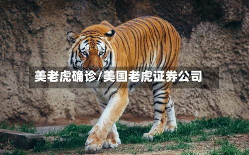 美老虎确诊/美国老虎证券公司-第3张图片