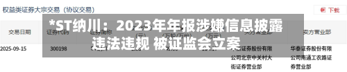 *ST纳川:2023年年报涉嫌信息披露违法违规 被证监会立案-第3张图片
