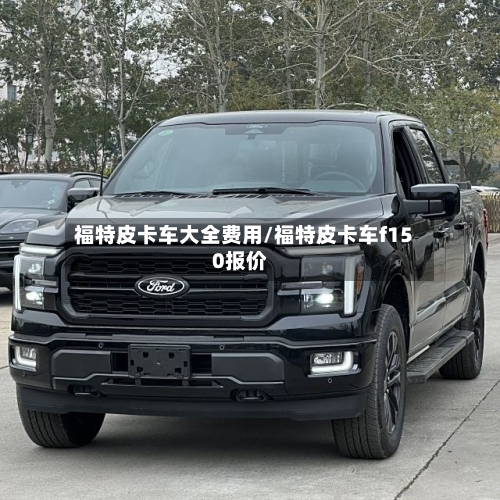 福特皮卡车大全费用/福特皮卡车f150报价