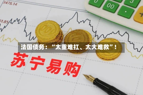 法国债务：“太重难扛、太大难救	”！-第2张图片