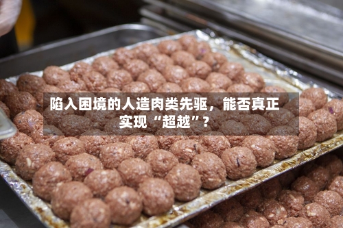 陷入困境的人造肉类先驱，能否真正实现 “超越”？-第1张图片