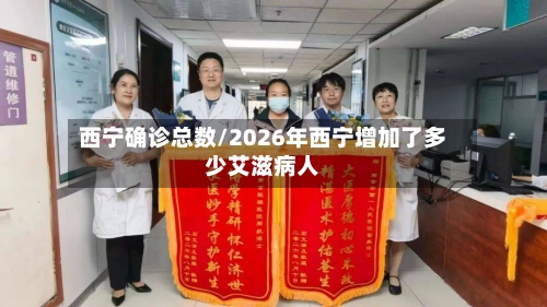 西宁确诊总数/2026年西宁增加了多少艾滋病人