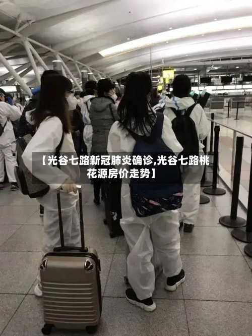 【光谷七路新冠肺炎确诊,光谷七路桃花源房价走势】-第2张图片