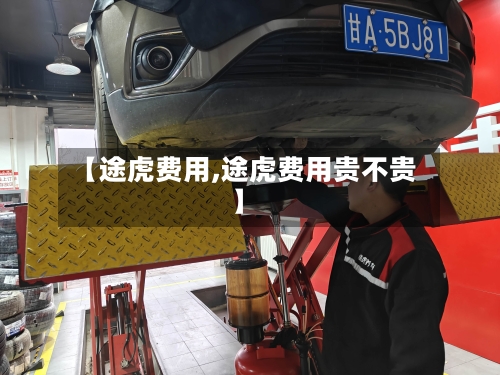 【途虎费用,途虎费用贵不贵】-第2张图片