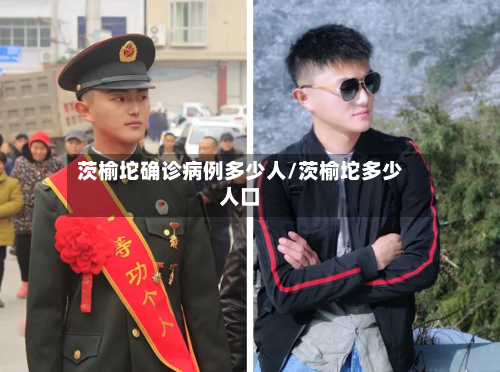 茨榆坨确诊病例多少人/茨榆坨多少人口-第3张图片