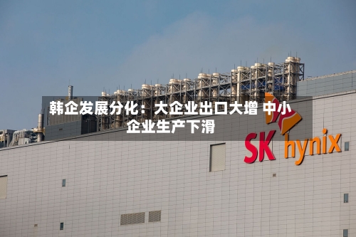 韩企发展分化:大企业出口大增 中小企业生产下滑-第3张图片