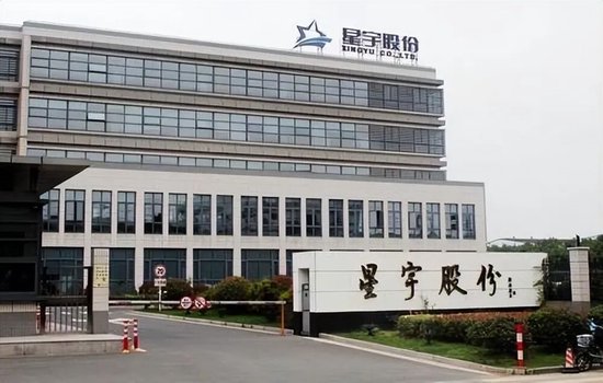 代价沉重，为省几百万，星宇赴港上市果然遇阻，后悔也来不及了	，给制造业敲响警钟